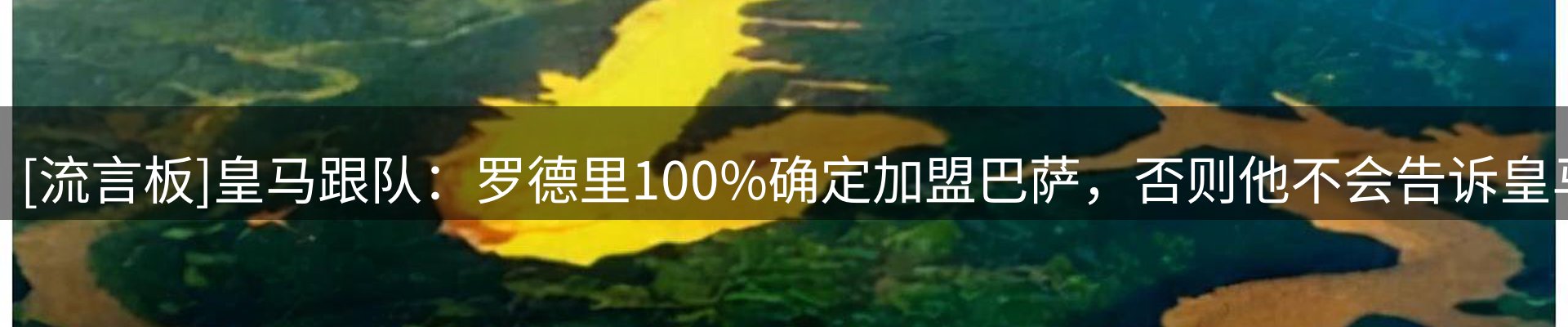 赛事资讯